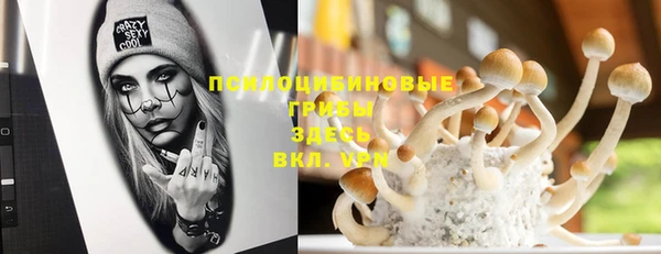 MESCALINE Медвежьегорск