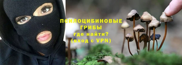 MESCALINE Медвежьегорск
