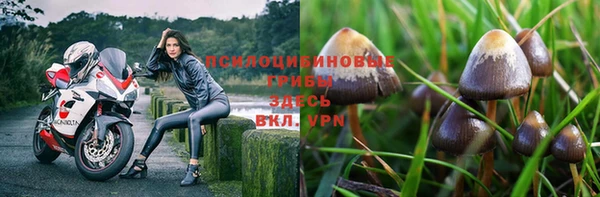 MESCALINE Медвежьегорск